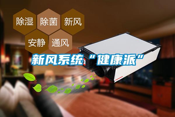 新风系统“健康派”