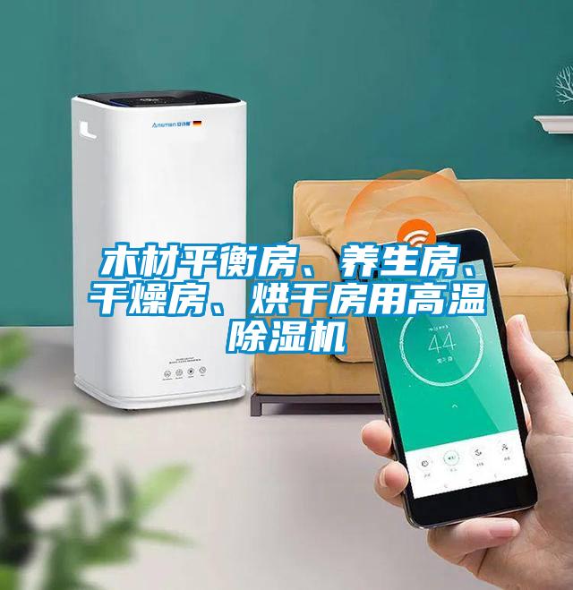 木材平衡房、养生房、干燥房、烘干房用高温除湿机