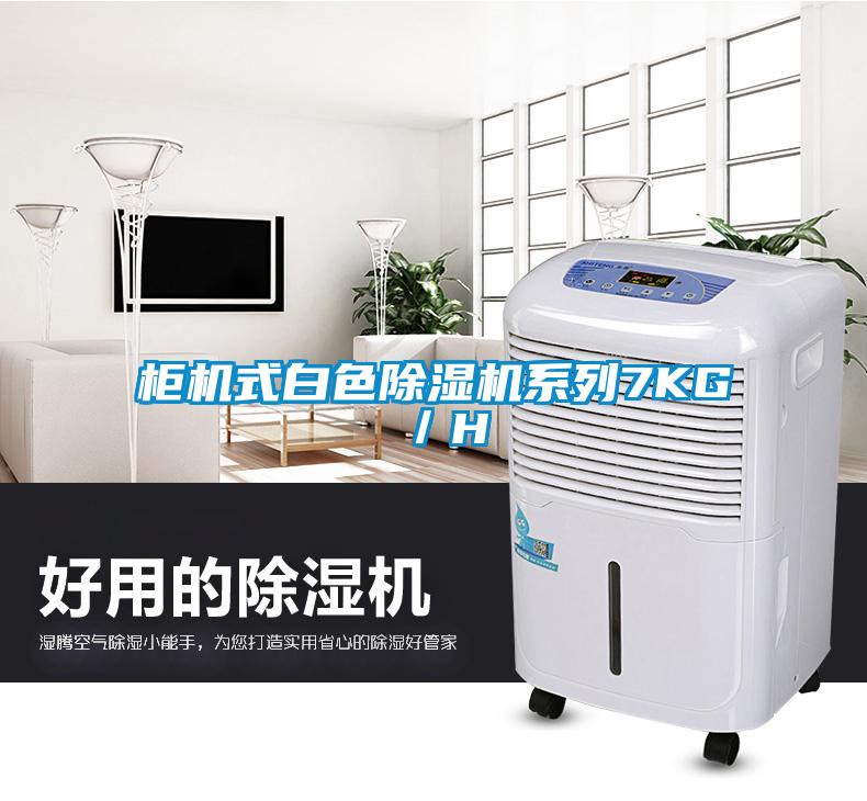 柜机式白色除湿机系列7KG／H