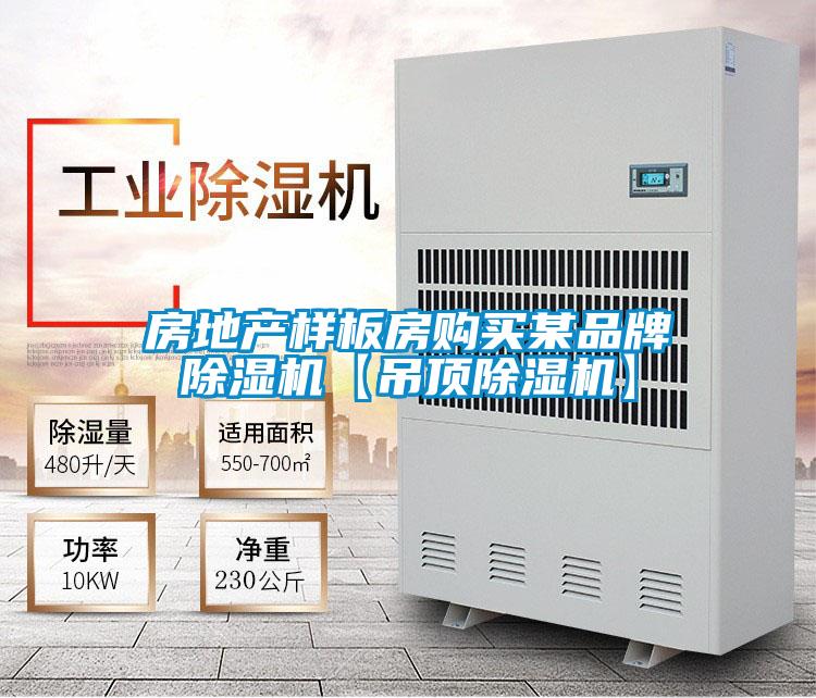 房地产样板房购买某品牌除湿机【吊顶除湿机】