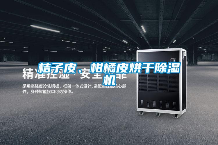 桔子皮、柑橘皮烘干除湿机