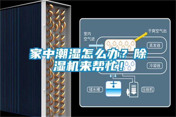 家中潮湿怎么办？除湿机来帮忙！