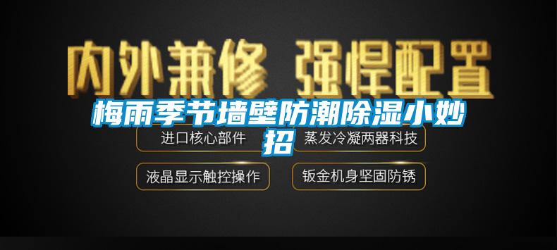 梅雨季节墙壁防潮除湿小妙招