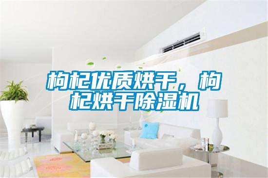 枸杞优质烘干，枸杞烘干除湿机