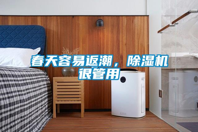 春天容易返潮，除湿机很管用