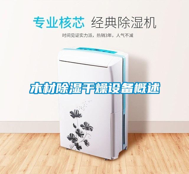 木材除湿干燥设备概述