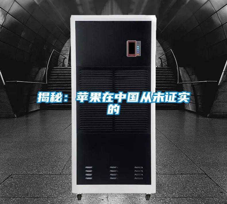 揭秘:苹果在中国从未证实的