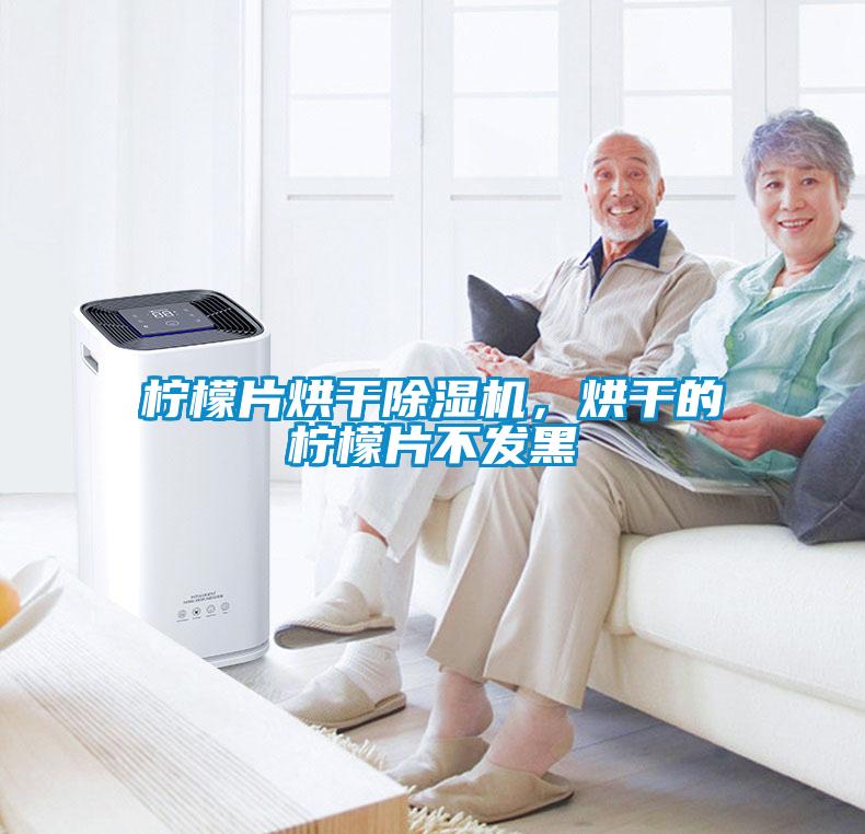 柠檬片烘干除湿机，烘干的柠檬片不发黑