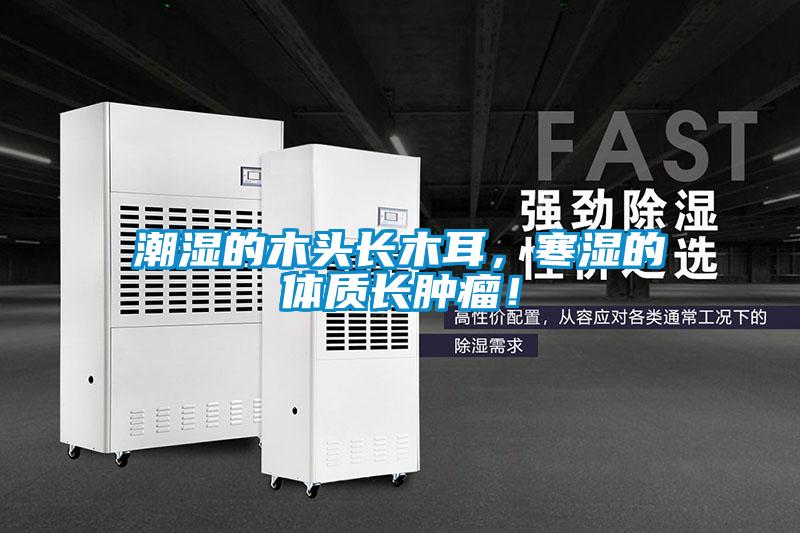 潮湿的木头长木耳，寒湿的体质长肿瘤！