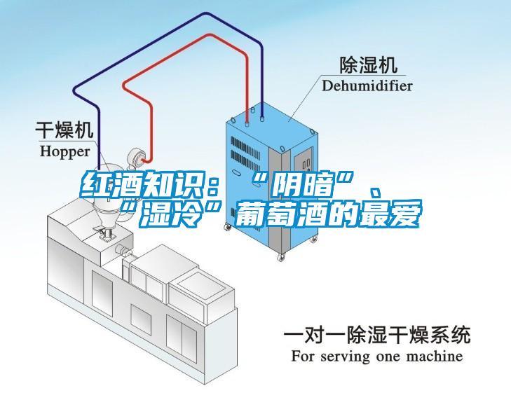 红酒知识：“阴暗”、“湿冷”葡萄酒的最爱