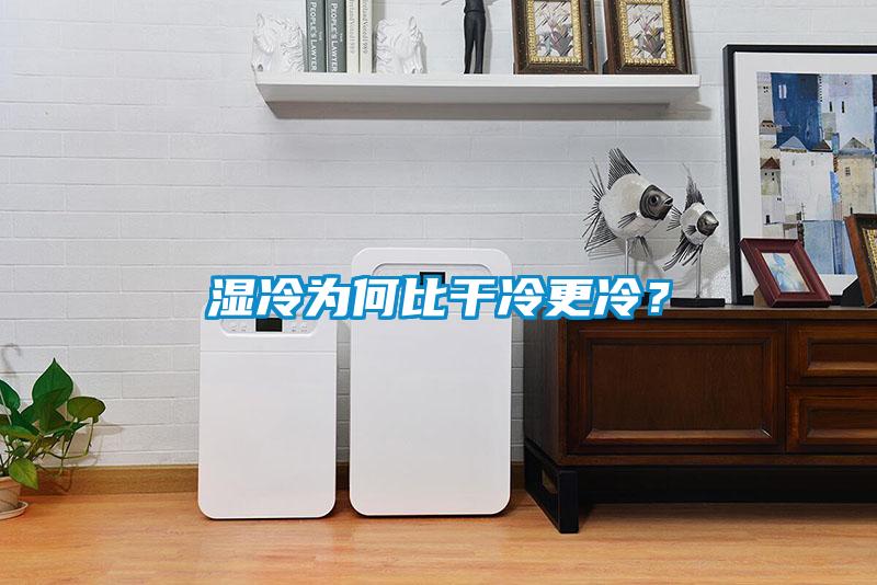 湿冷为何比干冷更冷？
