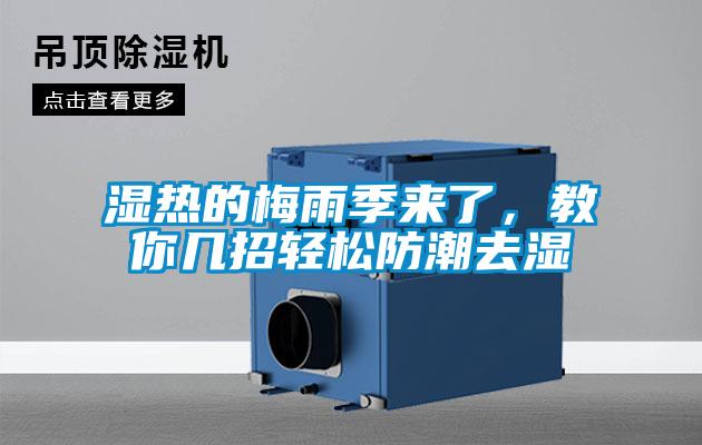 湿热的梅雨季来了，教你几招轻松防潮去湿