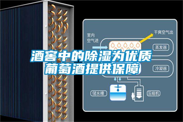 酒窖中的除湿为优质葡萄酒提供保障