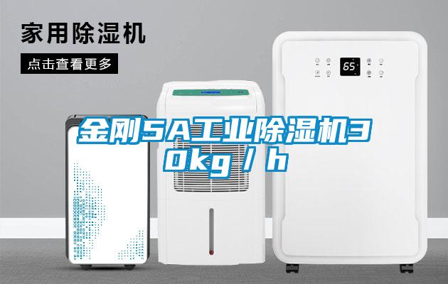 金刚5A工业除湿机30kg/h