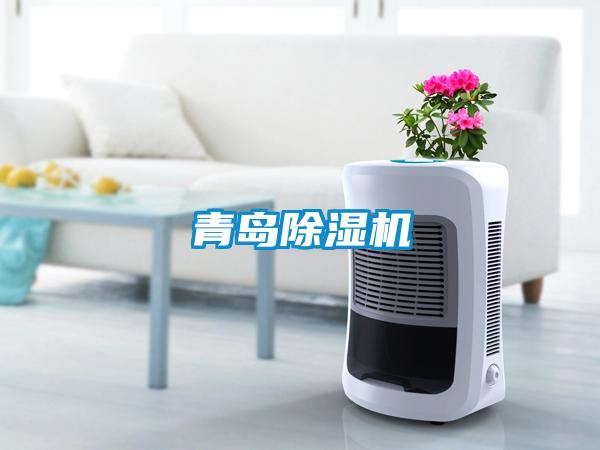青岛除湿机