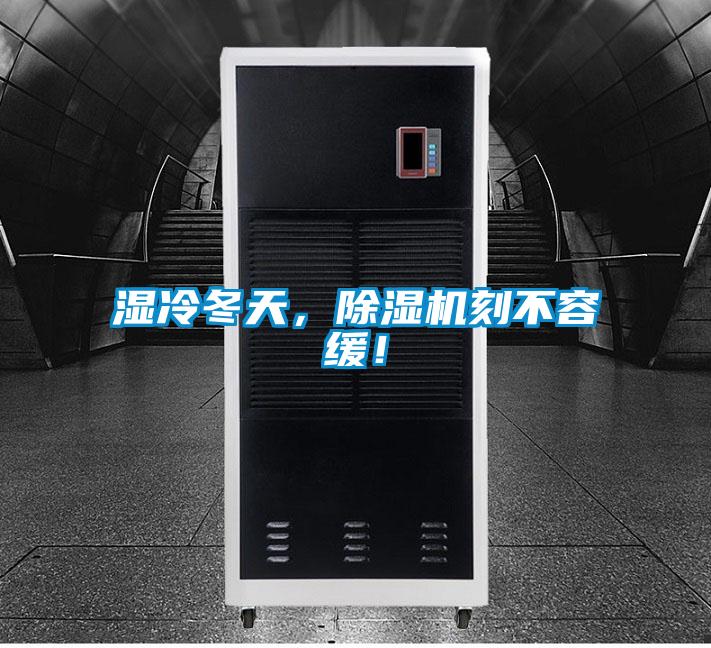 湿冷冬天，除湿机刻不容缓！