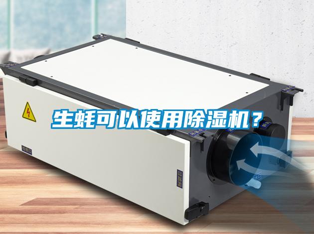 生蚝可以使用除湿机？