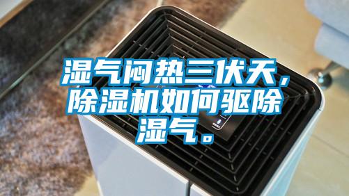 湿气闷热三伏天，除湿机如何驱除湿气。