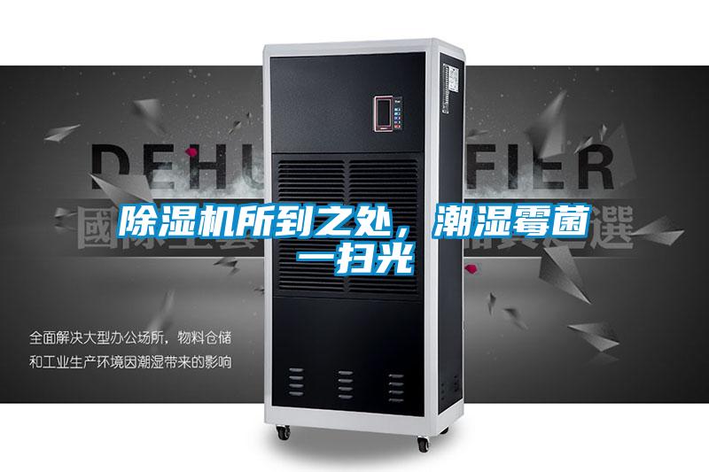 除湿机所到之处，潮湿霉菌一扫光