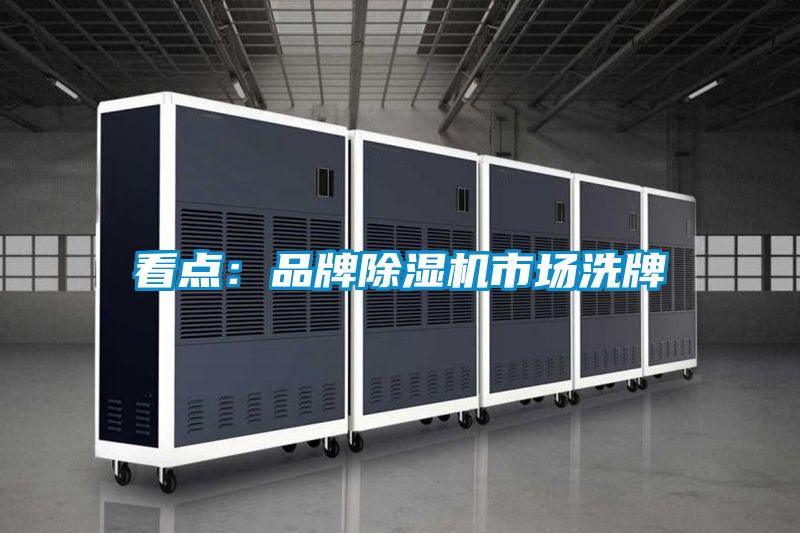 看点:品牌除湿机市场洗牌