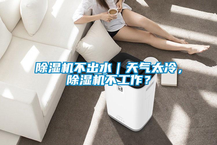 除湿机不出水｜天气太冷，除湿机不工作？