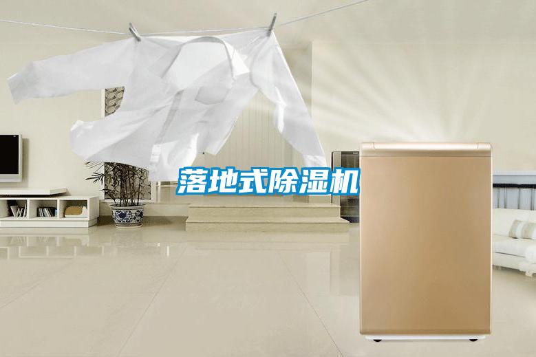 落地式除湿机