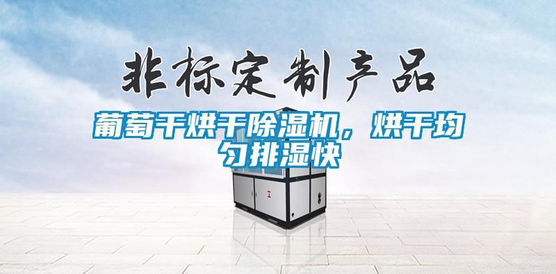 葡萄干烘干除湿机，烘干均匀排湿快