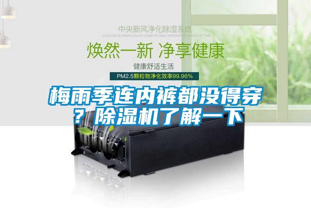 梅雨季连内裤都没得穿？除湿机了解一下