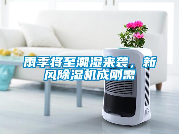 雨季将至潮湿来袭，新风除湿机成刚需