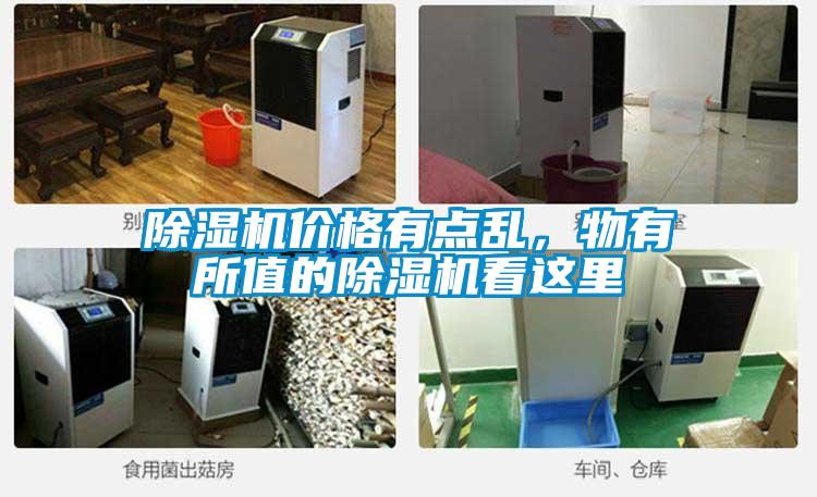 除湿机价格有点乱，物有所值的除湿机看这里