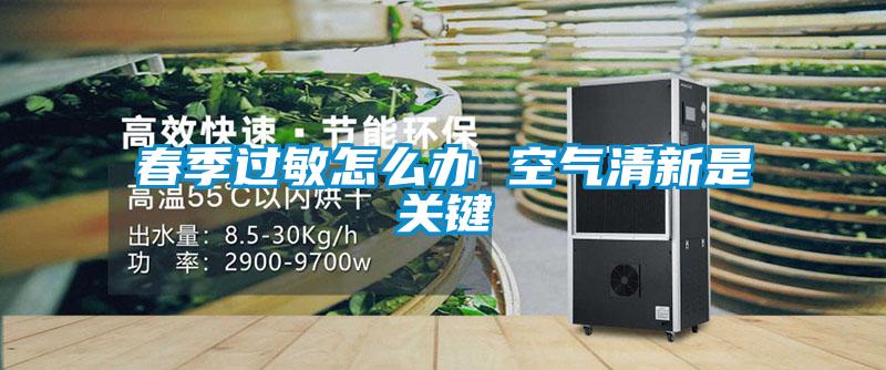 春季过敏怎么办 空气清新是关键