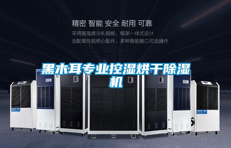 黑木耳专业控湿烘干除湿机