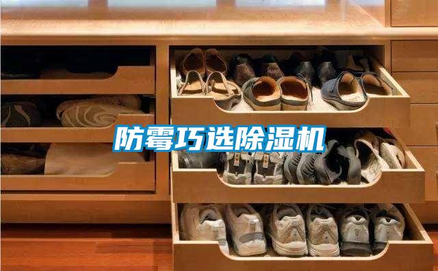 防霉巧选除湿机