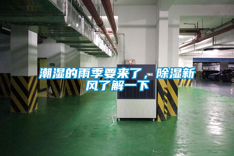 潮湿的雨季要来了，除湿新风了解一下