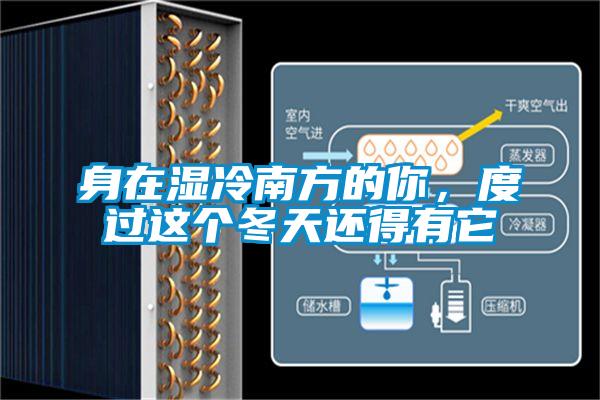 身在湿冷南方的你，度过这个冬天还得有它