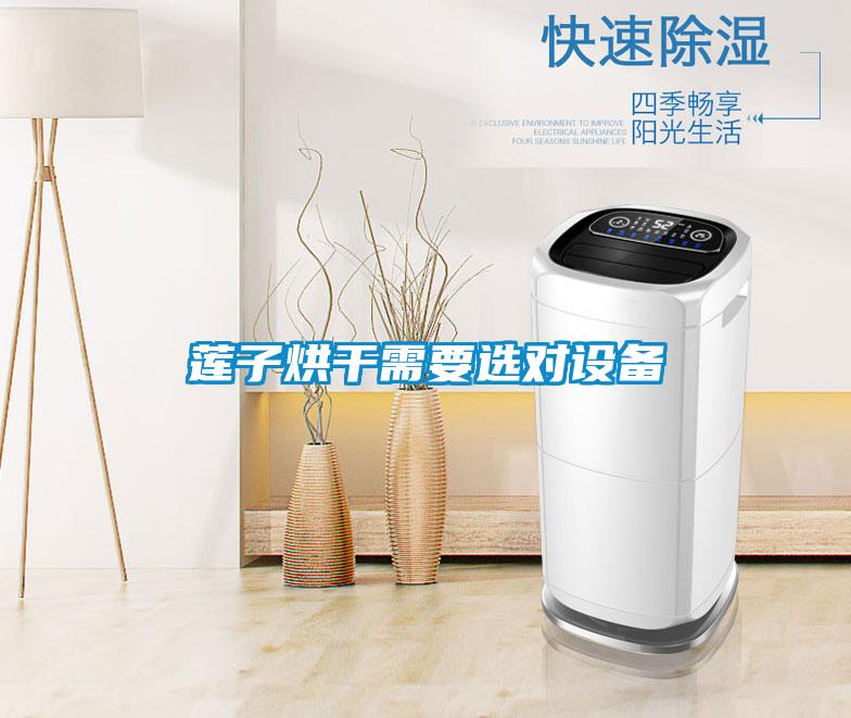 莲子烘干需要选对设备