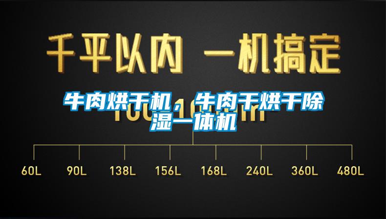 牛肉烘干机，牛肉干烘干除湿一体机