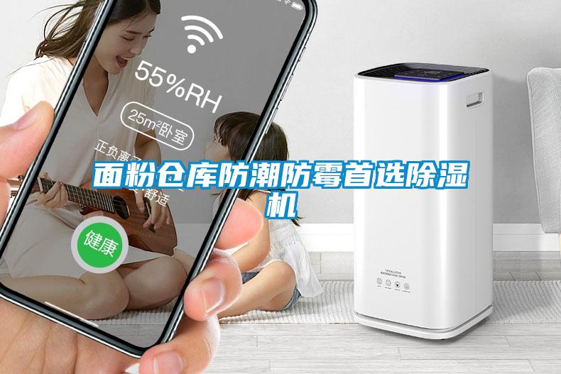 面粉仓库防潮防霉首选除湿机