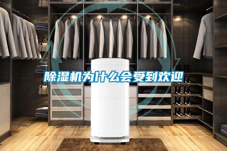 除湿机为什么会受到欢迎