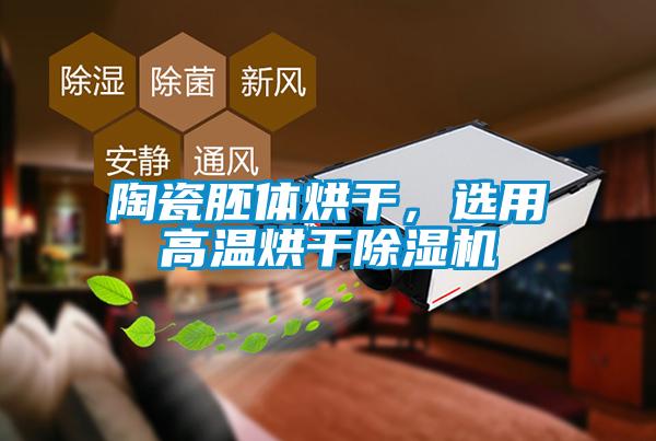 陶瓷胚体烘干，选用高温烘干除湿机