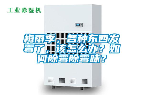 梅雨季，各种东西发霉了，该怎么办？如何除霉除霉味？