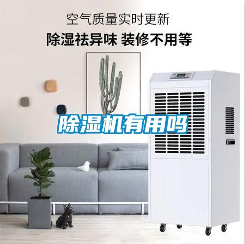 除湿机有用吗