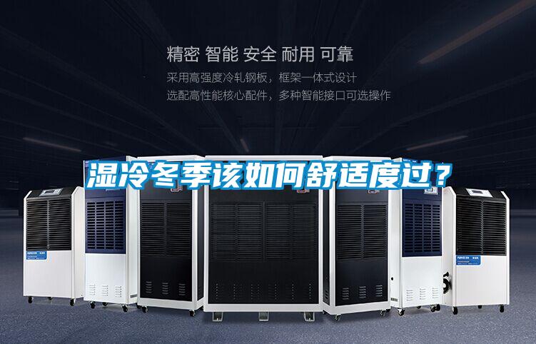 湿冷冬季该如何舒适度过？