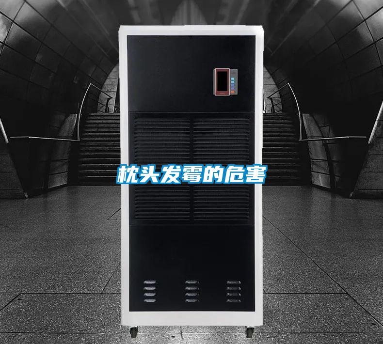 枕头发霉的危害