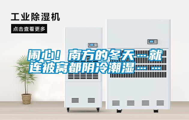 闹心！南方的冬天…就连被窝都阴冷潮湿……