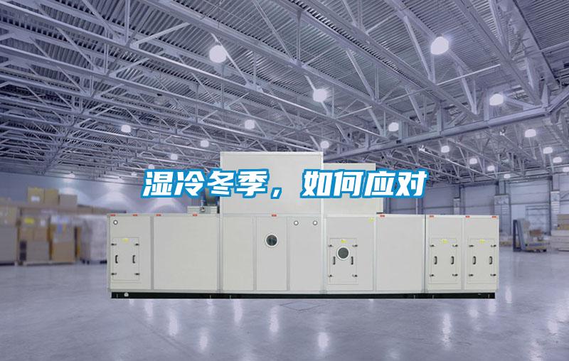 湿冷冬季，如何应对