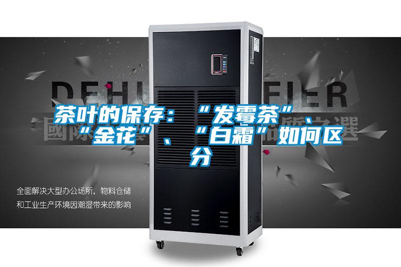 茶叶的保存：“发霉茶”、“金花”、“白霜”如何区分