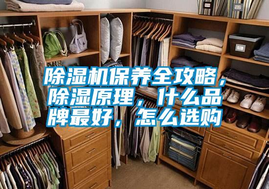 除湿机保养全攻略，除湿原理，什么品牌最好，怎么选购
