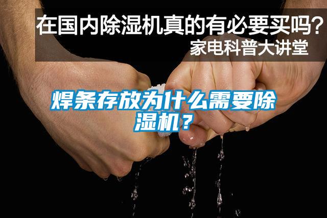 焊条存放为什么需要除湿机？
