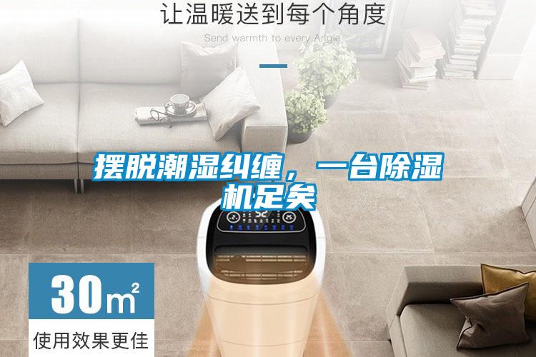 摆脱潮湿纠缠，一台除湿机足矣